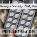 Kamagra Oral Jelly 100Mg Use 07